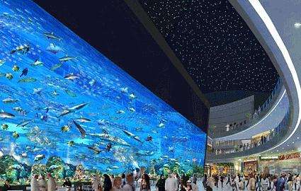 迪拜水族馆 Dubai Aquarium