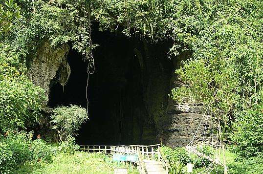 哥曼东洞穴 Gomantong Caves