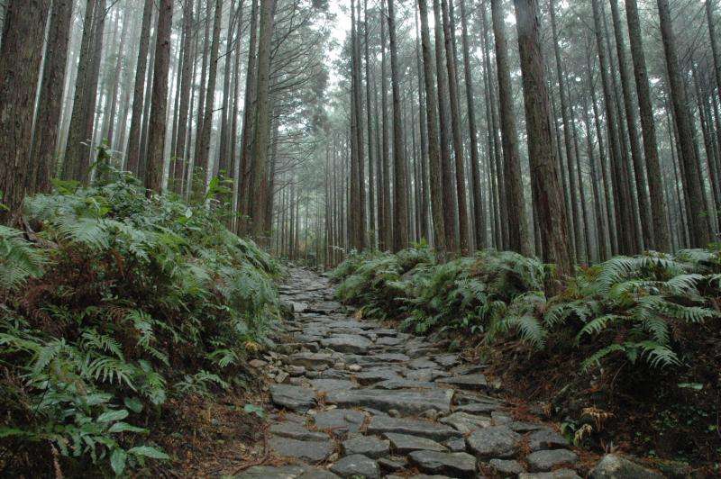 纪伊山地的圣地与参拜道 Sacred Sites and Pilgrimage Routes in the Kii Mountain Range