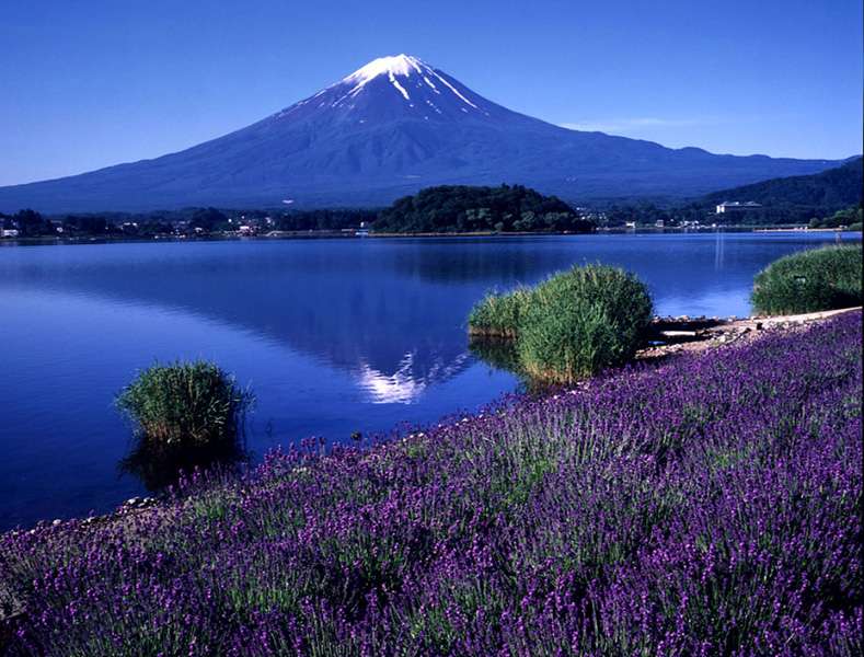 富士山-神圣之地和艺术启迪之源 Fujisan sacred place and source of artistic inspiration