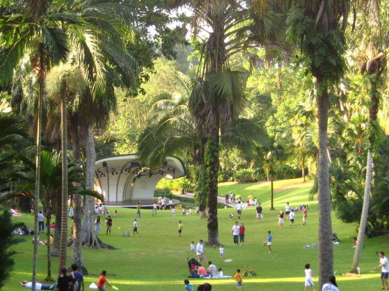 新加坡植物园 Singapore Botanic Gardens