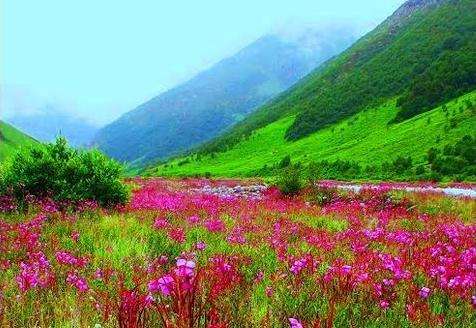 大喜马拉雅山脉国家公园 Great Himalayan National Park