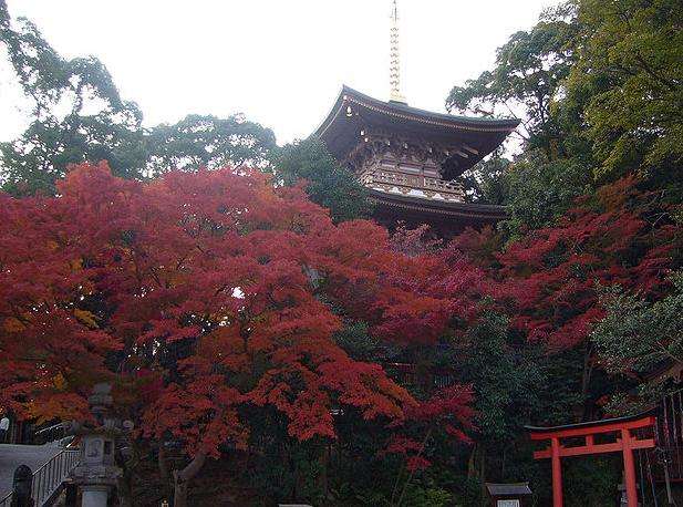须磨寺 Suma Temple