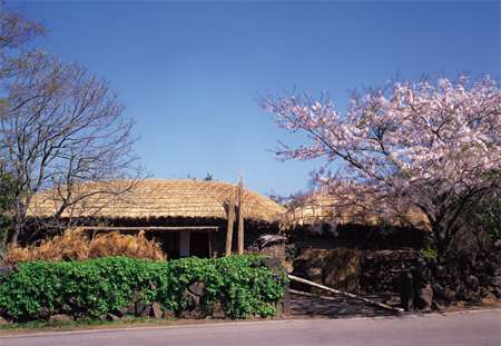 济州民俗村博物馆 The Jeju Folk Museum