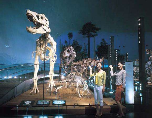 福井县立恐龙博物馆 Fukui Prefectural Dinosaur Museum
