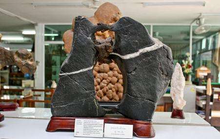 泰国奇石馆 Rare Stone Museum