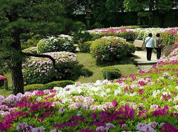 相乐园 Sorakuen Garden
