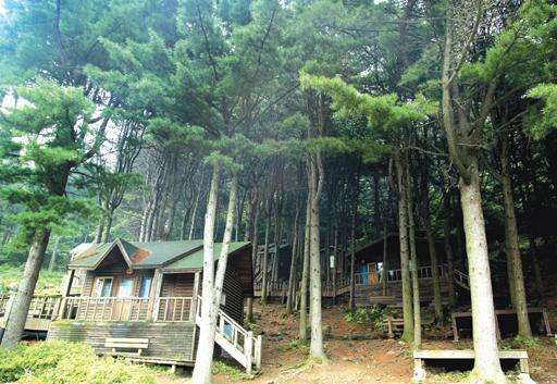 祝灵山自然休养林 Chukryong Natural Forest