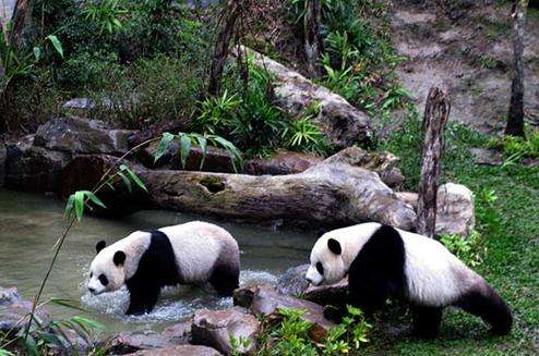 台北市立动物园 Taipei Zoo