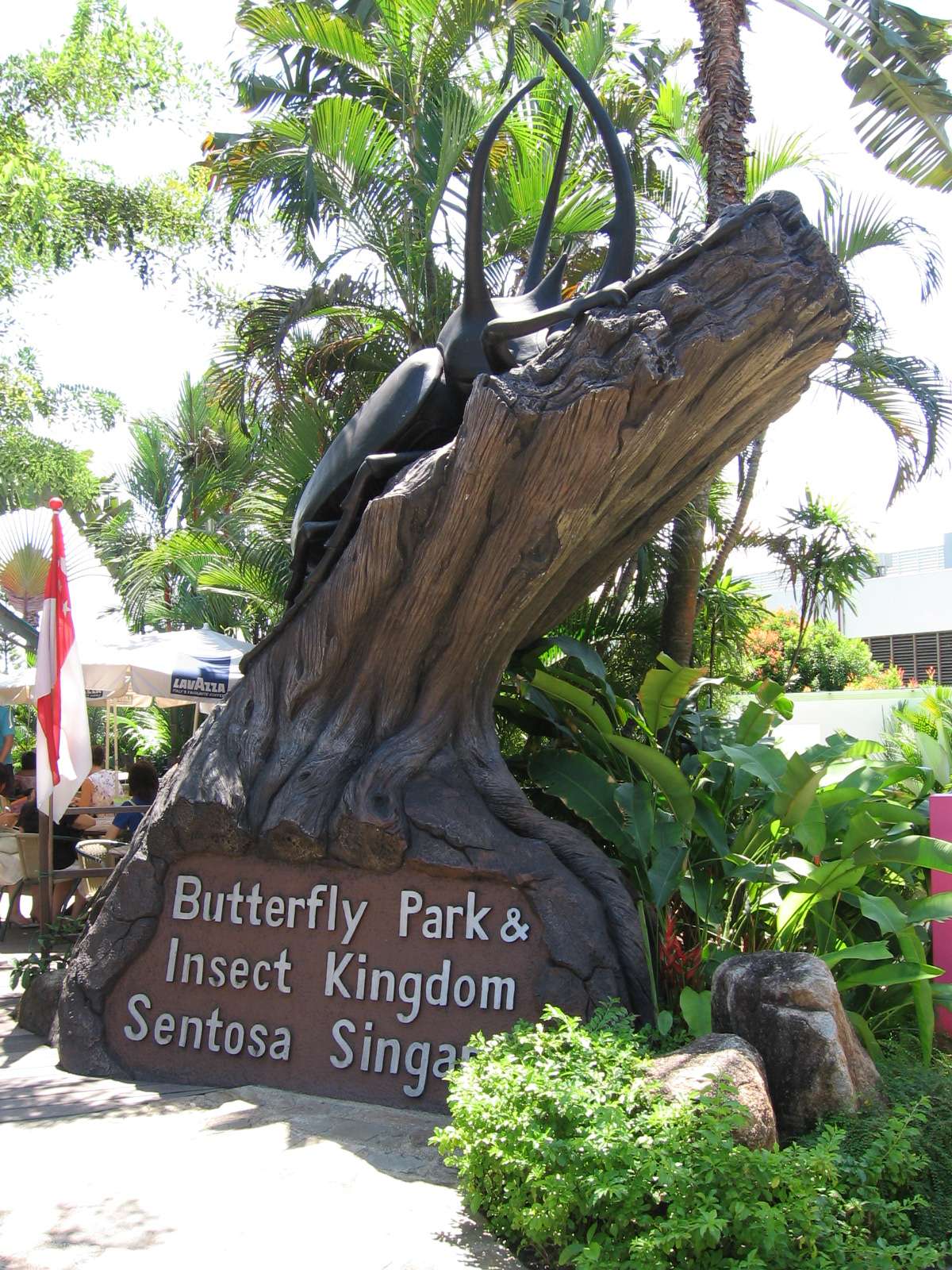 蝴蝶公园与昆虫王国 Butterfly Park and Insect Kingdom
