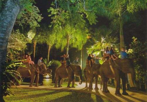 新加坡夜间野生动物园 Night SafariSingapore
