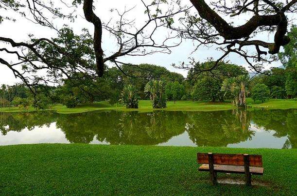 太平湖公园 Taiping Lake Gardens