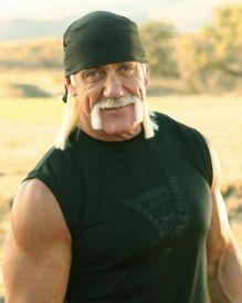 胡克·霍根 Hulk Hogan 好莱坞不朽传奇壮汉 Terry Gene Bollea