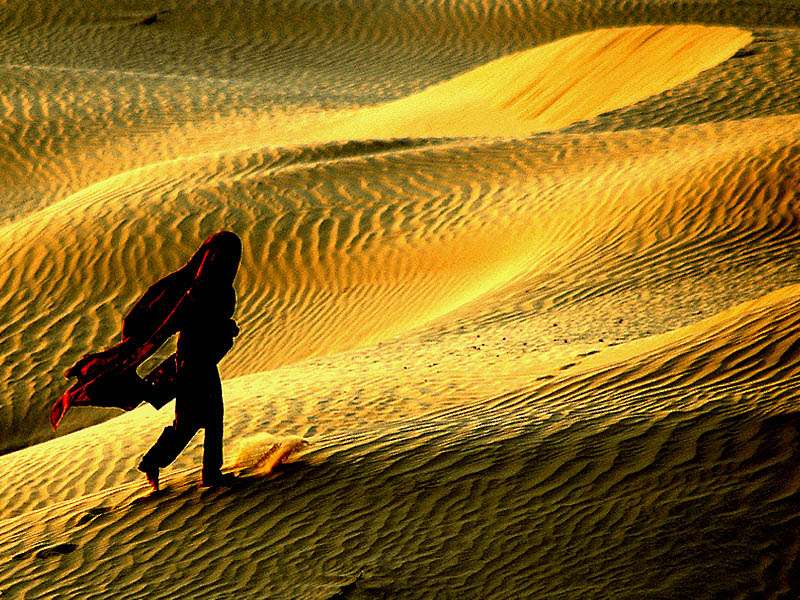 塔尔沙漠 Thar Desert
