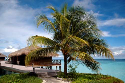 波莉珊瑚岛 Bolifushi Island Resort Maldives