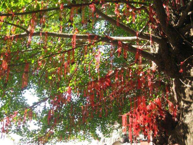 林村许愿树 Lam Tsuen Wishing Trees