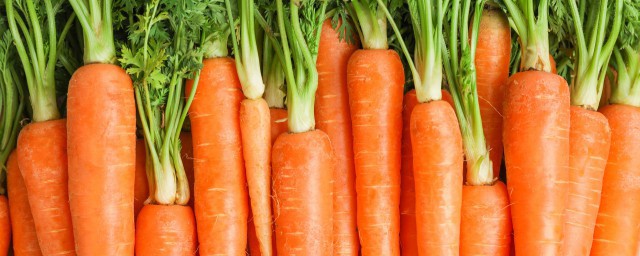 胡萝卜储存长久的方法 如何保存胡萝卜