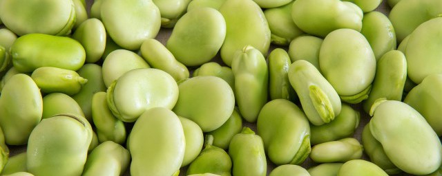 绿色的豆子是什么豆 绿色的豆子名字介绍