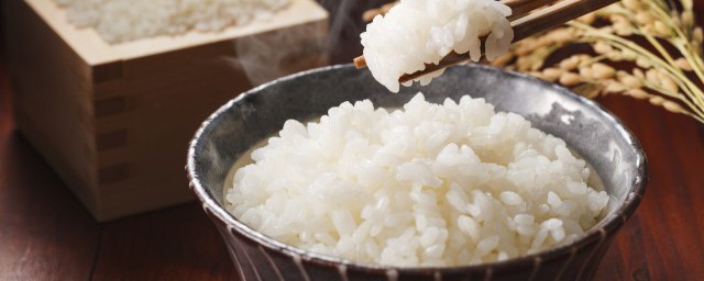 微波炉怎么煮米饭 微波炉如何煮米饭
