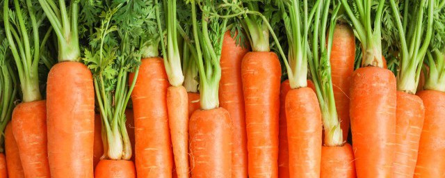 胡萝卜怎么吃好 胡萝卜如何吃好