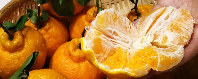 耙耙柑是不是就是丑橘 耙耙柑是丑橘吗