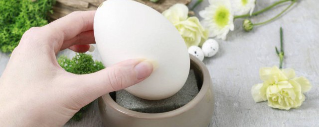 鹅蛋的最佳储存方法 鹅蛋的最佳储存方法 介绍