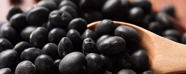 黑豆如何保存不易起虫 黑豆怎么保存不易起虫