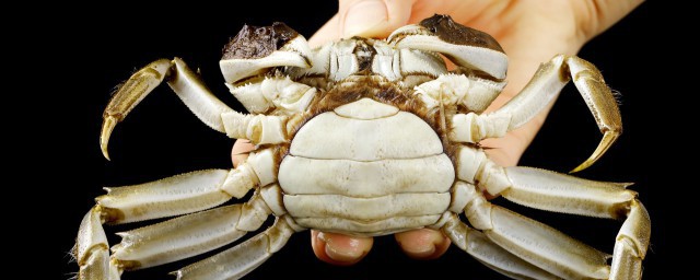 螃蟹不放水能活多久 螃蟹不放水能养多久