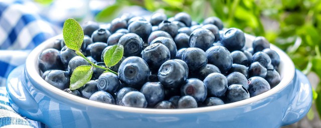 蓝莓是凉性水果吗 蓝莓是否是凉性水果
