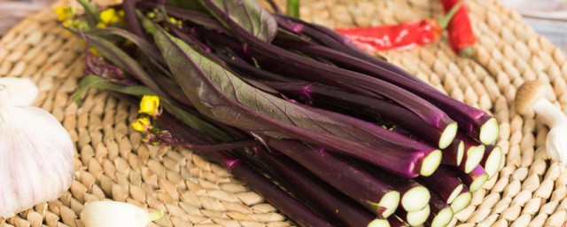红菜苔有什么营养价值 红菜苔的营养价值介绍
