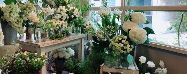 花店的养殖方法 花店里鲜花的保养方法介绍