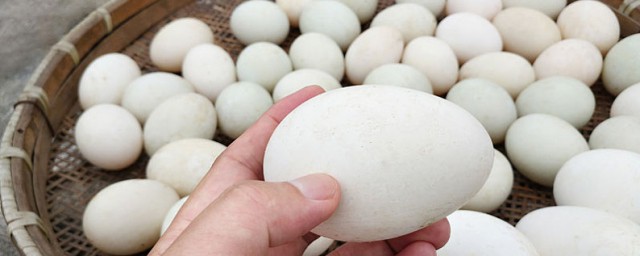 孕妇吃鹅蛋怎么吃 鹅蛋营养吃法四则分享