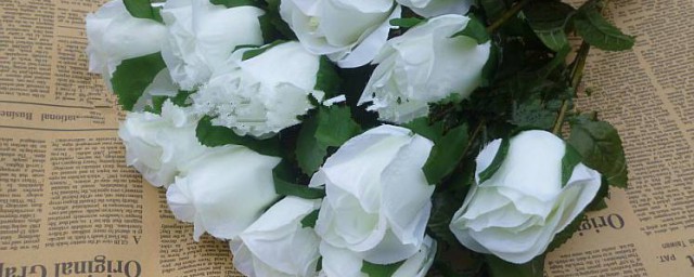 白玫瑰真正的花语 有关白玫瑰的花语介绍