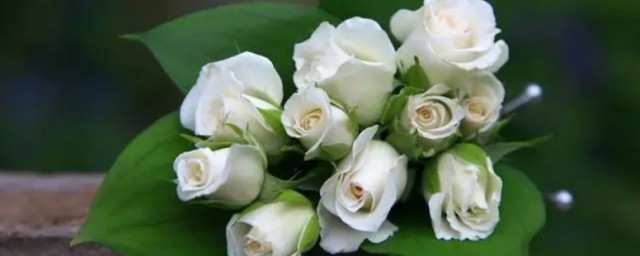 白色玫瑰花花语是什么 白色玫瑰花花语是啥