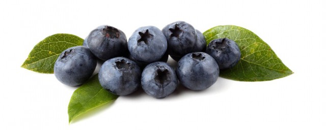 蓝莓籽营养高 蓝莓籽营养价值介绍