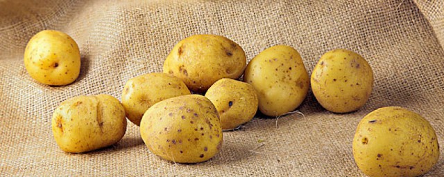 春天怎么保存土豆不发芽 土豆保鲜方法分享