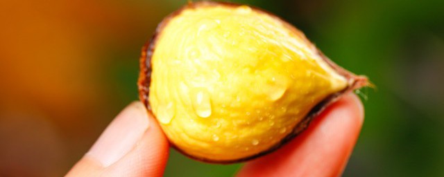 怎么贮存栗子 如何保存栗子