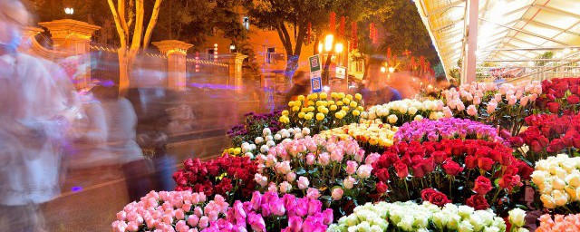 中国十大名花排名 中国十大名花排名有哪些