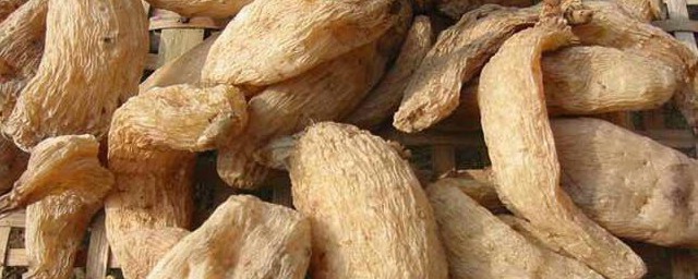 小孩子能吃天麻吗 儿童能不能吃天麻 小孩子能吃天麻吗 儿童能不能吃天麻