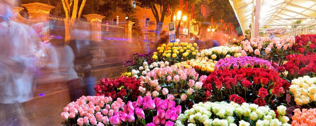 数字花语 数字花语有哪些