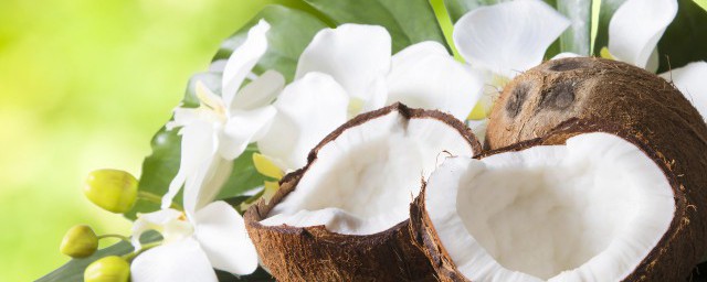 孕妇喝椰青有什么好处 孕妇喝椰青的作用介绍