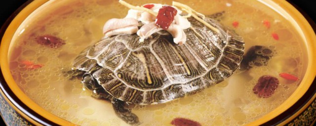 甲鱼汤的做法与功效 甲鱼汤有什么功效