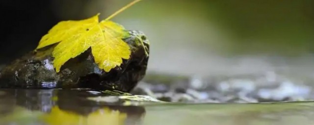 处暑怎么读 处暑介绍