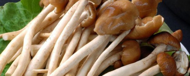 茶树菇可以泡一夜吗 茶树菇泡一夜行不行