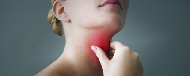 杓状软骨怎么读 勺状软骨的读音