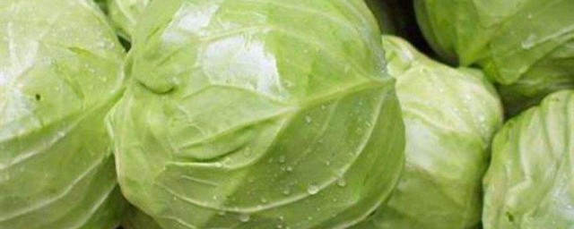 手撕包菜鱿鱼丝的做法 怎么做手撕包菜鱿鱼丝