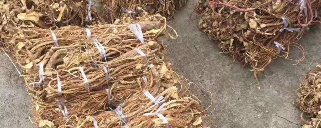 怎样选五指毛桃 选五指毛桃的方法