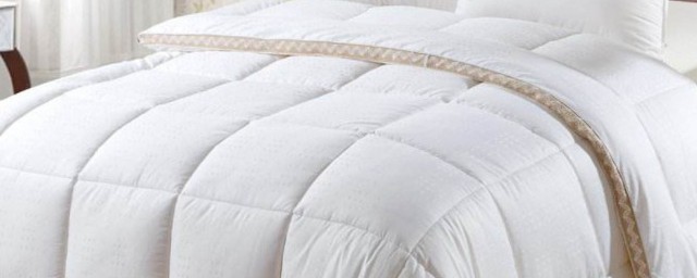 什么是大豆被 啥是大豆被