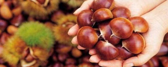 栗子怎样储存放的时间长 栗子如何储存放的时间长