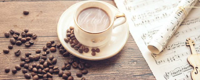 可可豆在哪里生长 可可豆的生产环境